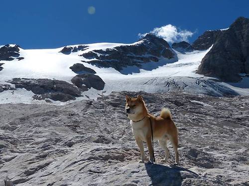 开云官网登录-《CS_GO全球巡回赛，G2战队连续三站夺冠》，g2战队csgo现役成员2021